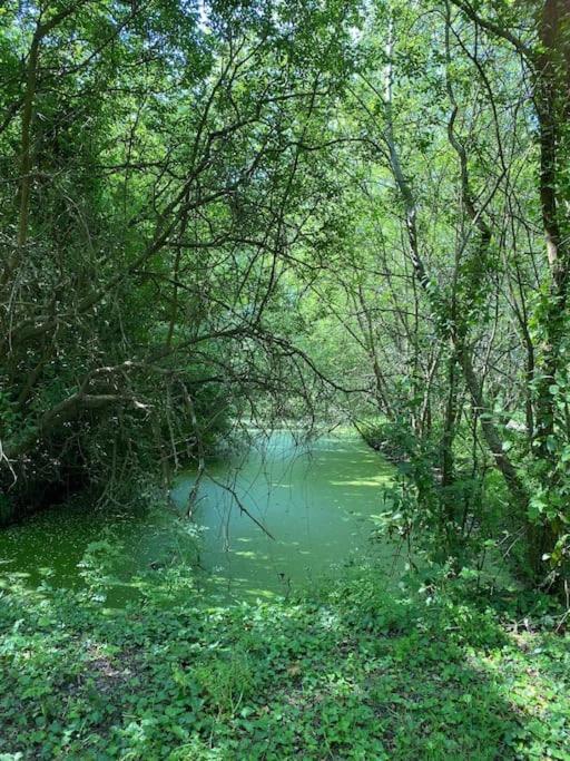Maison Neuve Zone Coulee Verte Menant A L'Ocean Saint Gilles Croix de vie Dış mekan fotoğraf